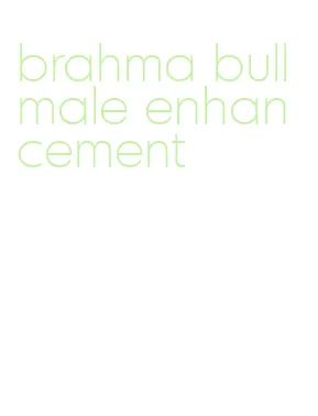 brahma bull male enhancement