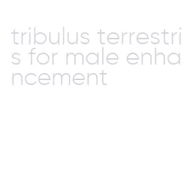 tribulus terrestris for male enhancement