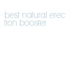 best natural erection booster