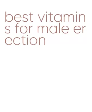 best vitamins for male erection
